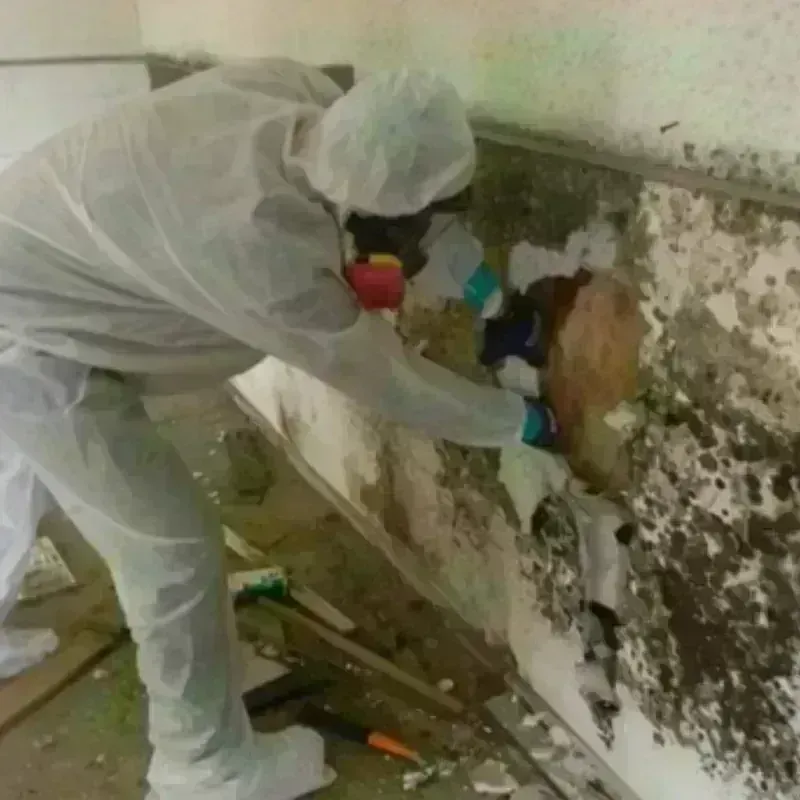 Mold Remediation and Removal in Bennington County, VT